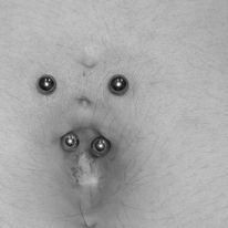 Piercing Nombril